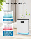 3L Dehumidifier for Home with Auto Shut Off, Large Room