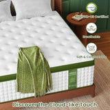 BedStory Cooling Hybrid Mattress Hotel Collection Lumbar Shoulder Support