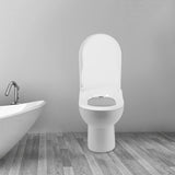 White D-Type PP Non-Electric Bidet Toilet Seat for Elongated