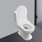 Bidet Toilet Seat for Elongated Toilets, D-Type Shape White PP Material, Durable