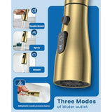 Gold Kitchen Faucet with Drinking Purified Water Tap High Arc 3-in-1 Stainless Steel Sink Faucet for 1 Hole