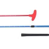 Mini Golf Game for Putting Green/Outdoor Games/Yard Games