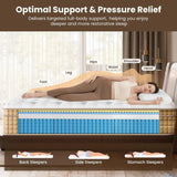 Hybrid Queen Size Mattresses Extra Lumbar amp Spinal Alignment