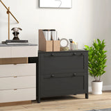 Lateral File Cabinet, 2 Drawer Filing Cabinet with Adjustable