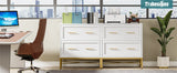Tribesigns 2 Drawer File Cabinet, Modern Lateral Filing Cabinet for Letter