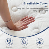 14 Inch Hybrid Mattress in a Box, Individual Pocket Spring with Memory Foam