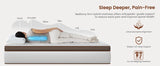14 Inch Hybrid Mattress with Orthopedic Spinal Support, Advanced Pocket Springs and Motion Isolation Technology