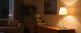 SucceBuy Cordless Table Lamp 5200mAh Built-in Rechargeable Battery Desk Lamp 3-Level Brightness Fabric Shade Color Temperature