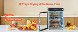 SucceBuy Rotary Food Dehydrator Machine 12 Stainless Steel Trays 800W with Adjustable Temperature & 24-Hour Timer for Jerky Meat